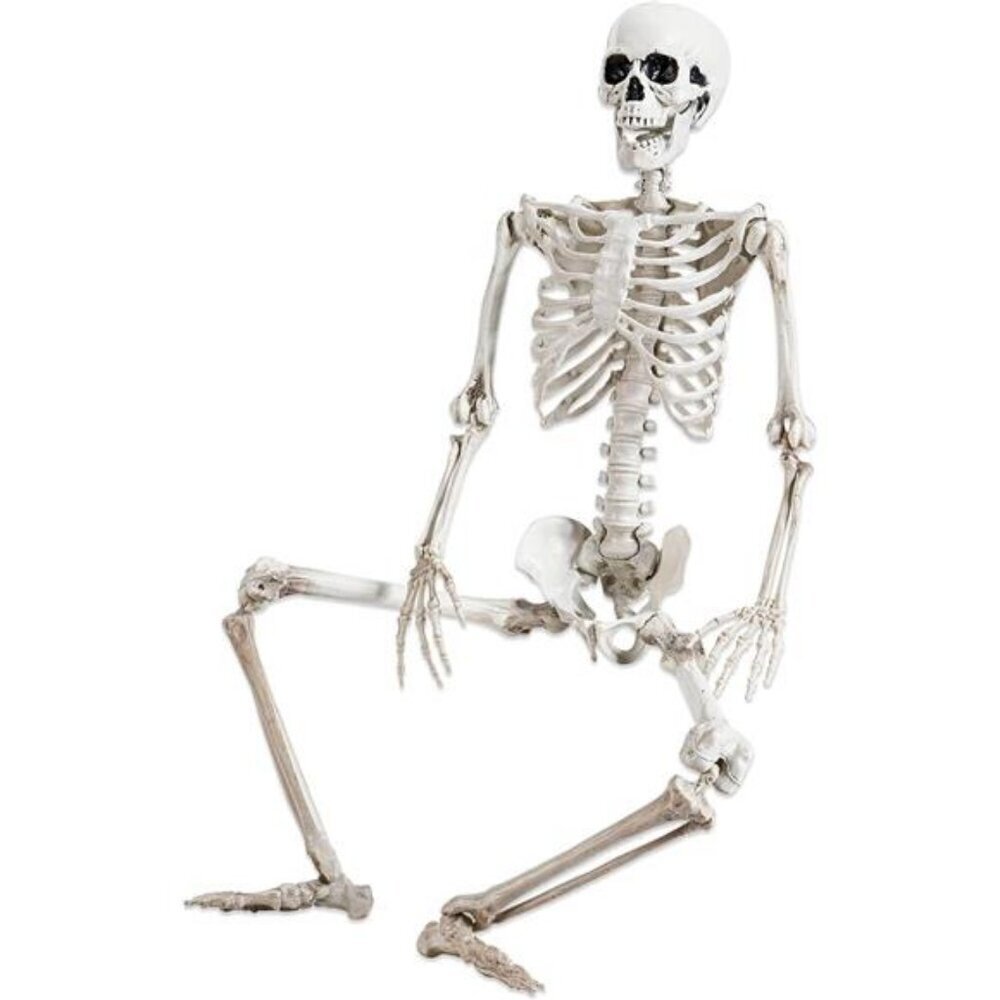 36" Halloween Skeleton Decor,Human Bones for Halloween Party with Movable
